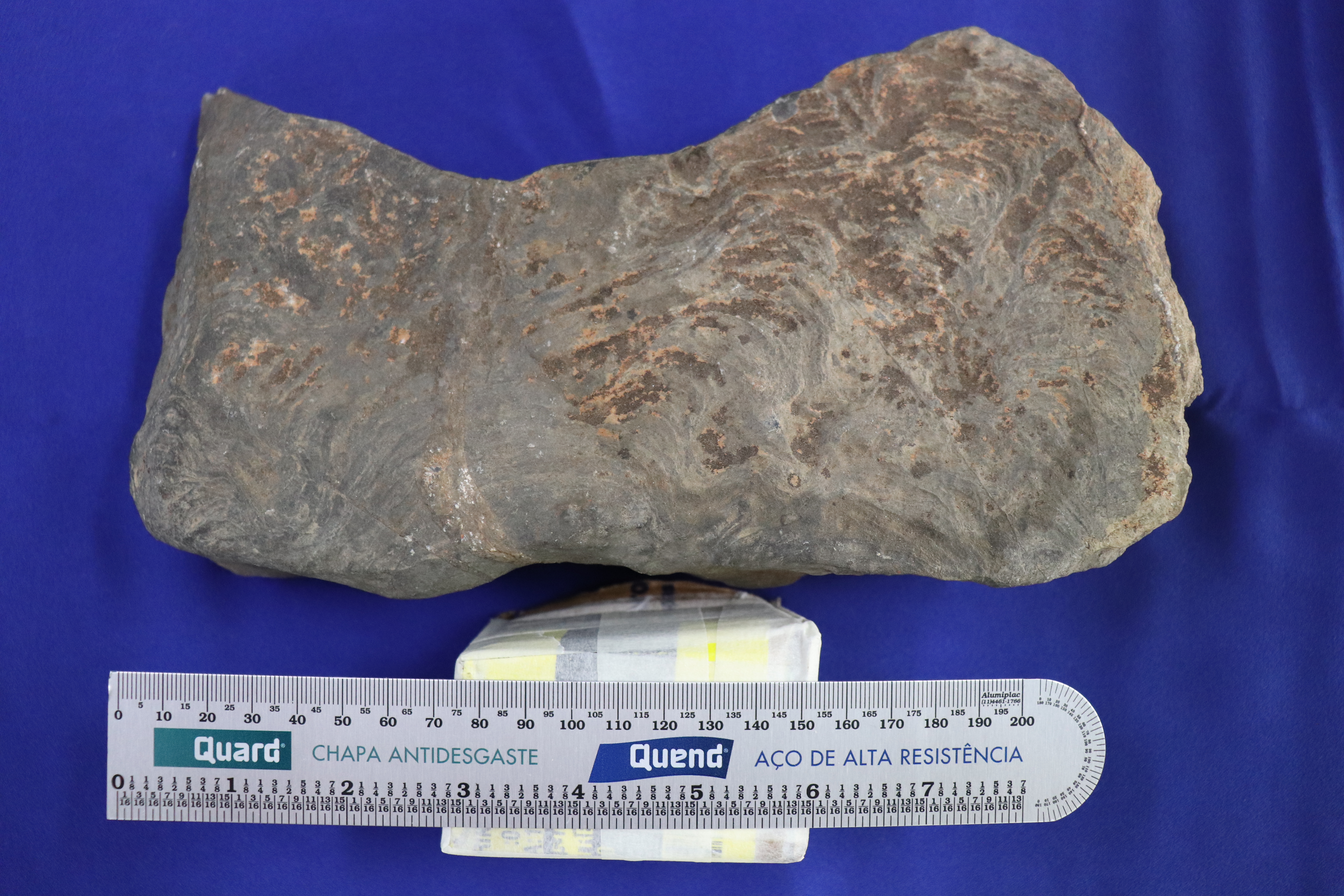 Exposição Eras Geológicas – Paleontologia Hoje, image size:6000x4000